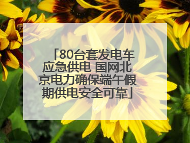 80台套发电车应急供电 国网北京电力确保端午假期供电安全可靠